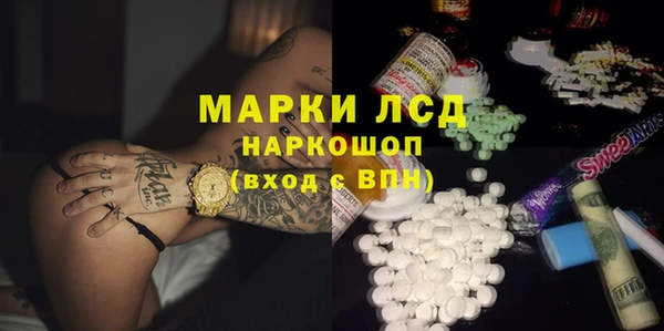 индика Горно-Алтайск