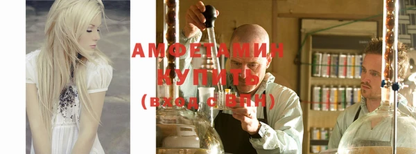 индика Горно-Алтайск