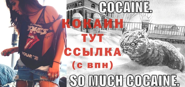 индика Горно-Алтайск