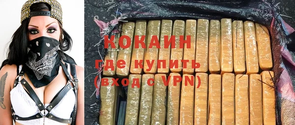 индика Горно-Алтайск