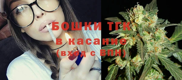 индика Горно-Алтайск