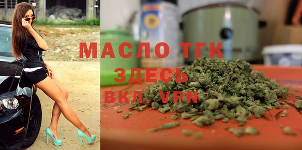 индика Горно-Алтайск
