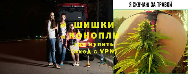 индика Горно-Алтайск