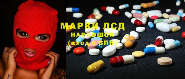 индика Горно-Алтайск