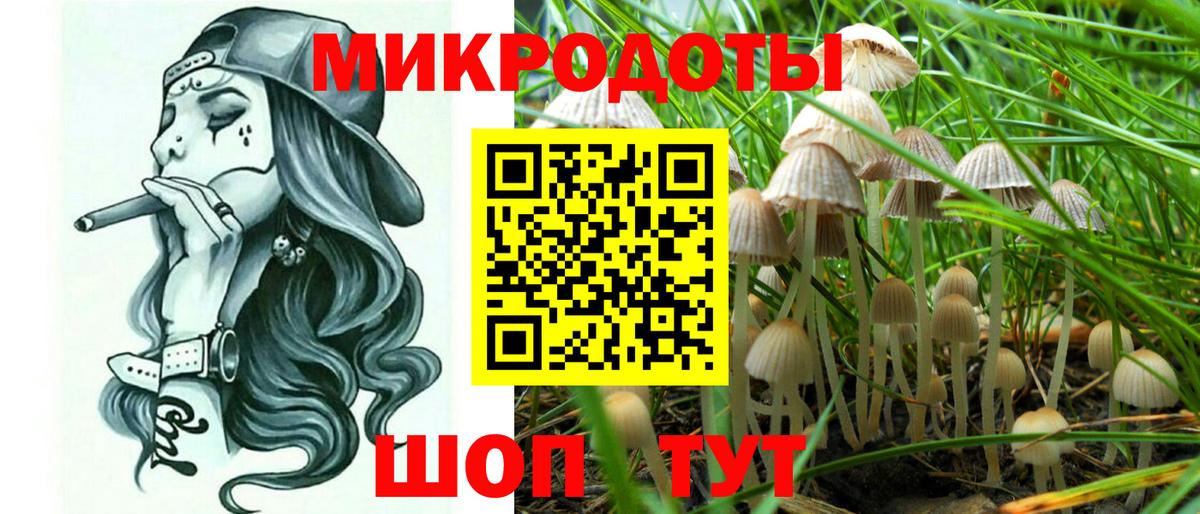 Зеленогорск  Галлюциногенные грибы GOLDEN TEACHER  Псилоцибиновые грибы мицелий  Вход с VPN 