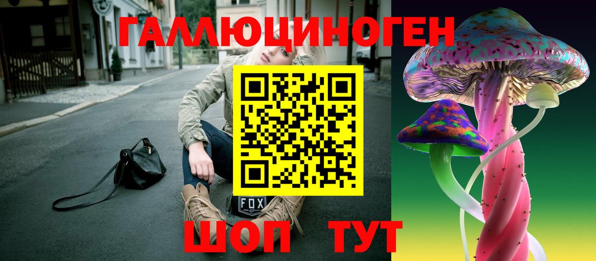 Псилоцибиновые грибы мицелий Зеленогорск