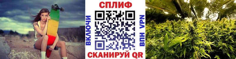 нарко площадка состав  закладка  Зеленогорск  Канабис конопля 