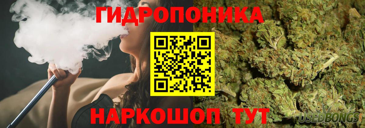 Бошки Шишки гибрид Зеленогорск